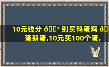 10元钱分 💮 别买鸭蛋鸡 🐞 蛋鹅蛋,10元买100个蛋,鹅蛋8毛,完蛋4毛,鸡蛋多少钱
